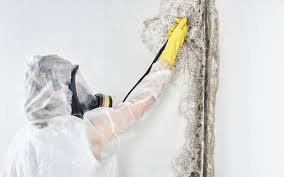 Best Environmental Consulting for Mold Prevention in Marshallton, PA